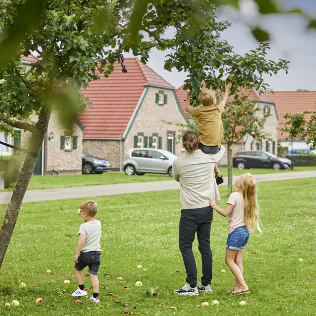 Zomer Bungalowpark de Leistert 2