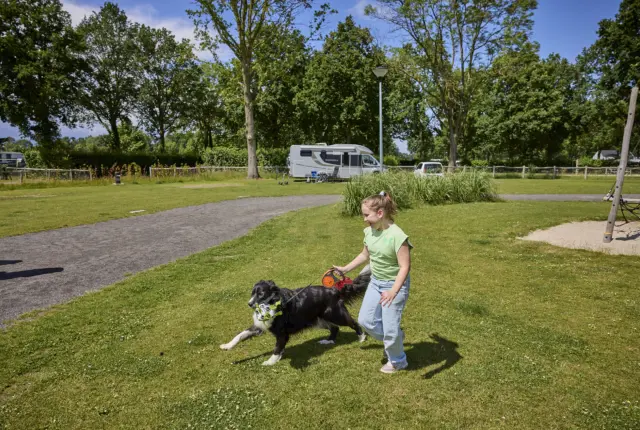 Kampeerplaats Comfort met huisdier en speelelement 16