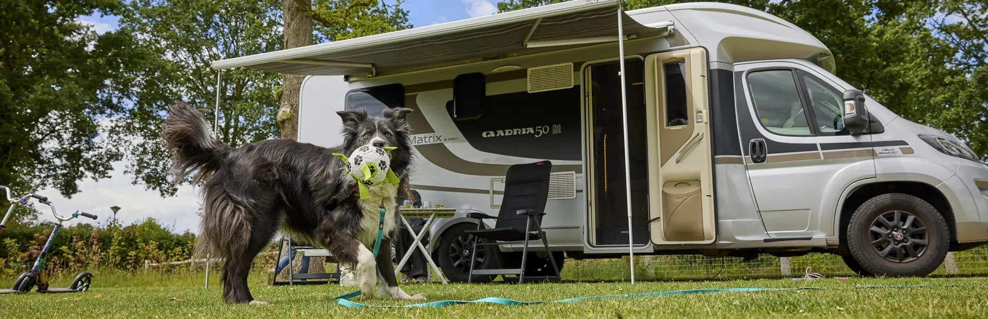 Kampeerplaats Comfort met huisdier 18