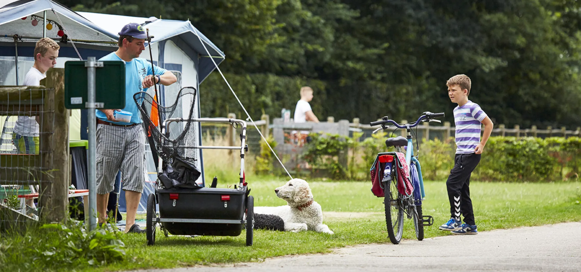 Kampeerplaats Comfort met huisdier 6