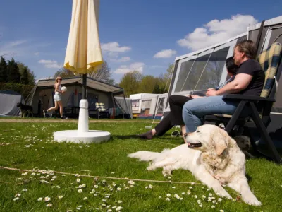 Kampeerplaats Comfort met huisdier 3