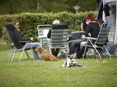 Kampeerplaats Comfort met huisdier 1