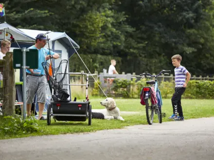 Kampeerplaats Comfort met huisdier 6