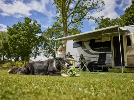 Kampeerplaats Comfort met huisdier 19