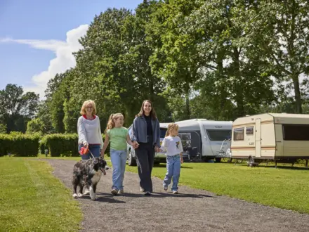 Kampeerplaats Comfort met huisdier 25