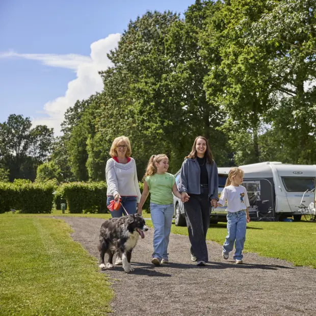 Kampeerplaats Comfort met huisdier 25