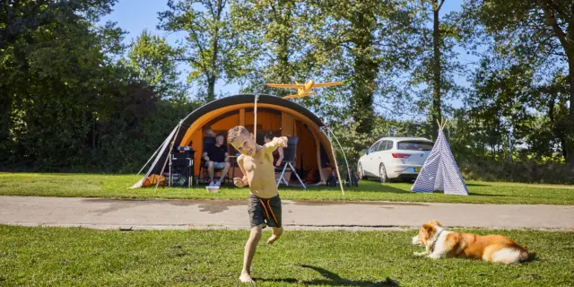 Kampeerplaats Comfort met huisdier 5