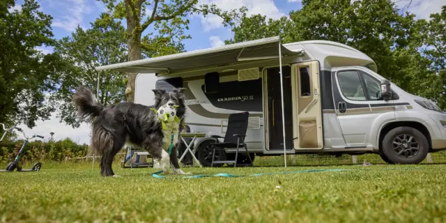 Kampeerplaats Comfort met huisdier 18