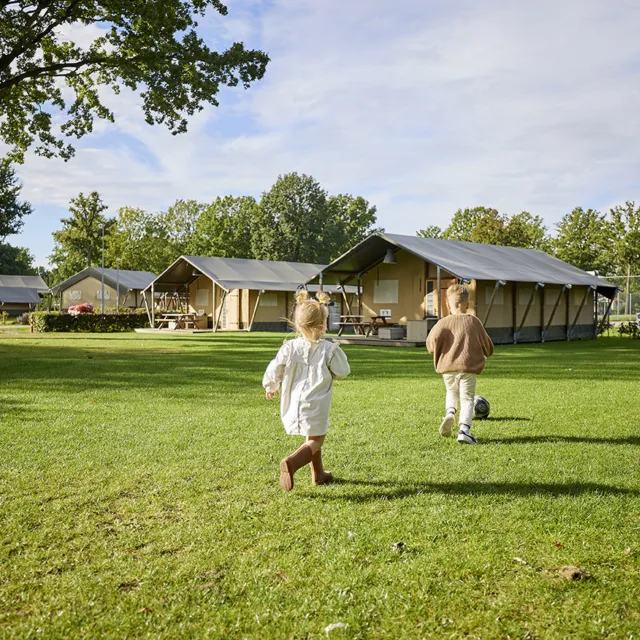 Glamping Tent Comfort 15