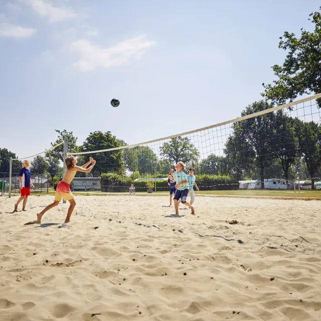 Beachvolleybalveld 8