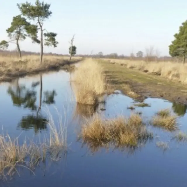 Park de groote Peel 1