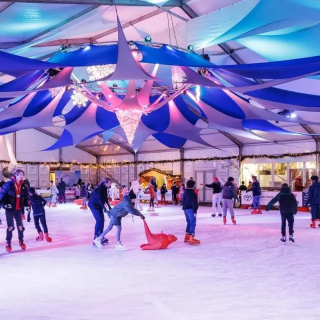 Winter Magic peel en maas foto 2